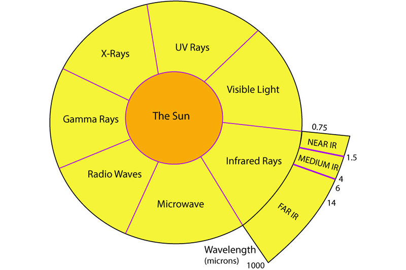 Far Infrared Light Therapy vs. Red Light Therapy: What’s the Difference and Which One Works Best?